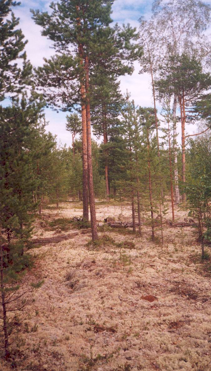 Karelia-10.jpg