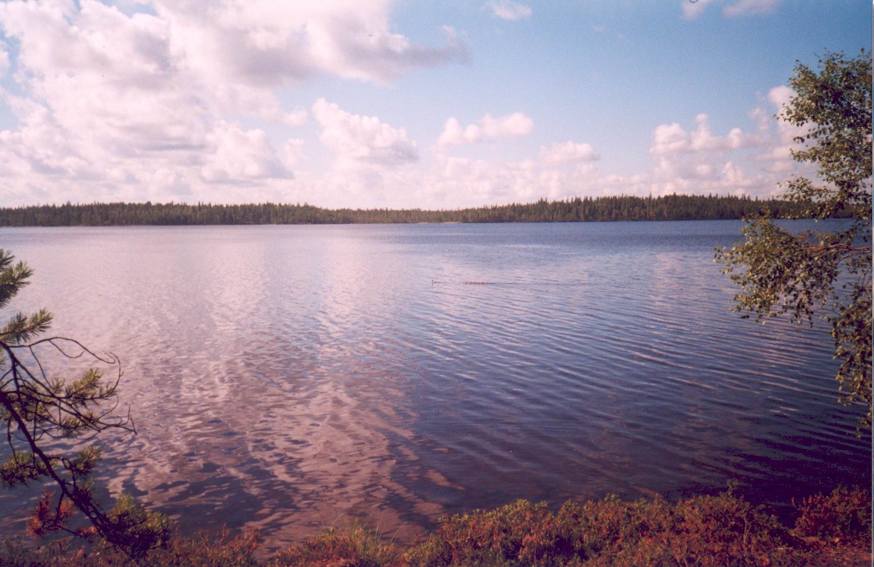 Karelia-18.jpg